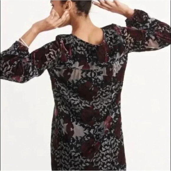 Abercrombie & Fitch Mini Dress S Floral Burnout Lined Black Burgundy Whimsigoth - Picture 3 of 14